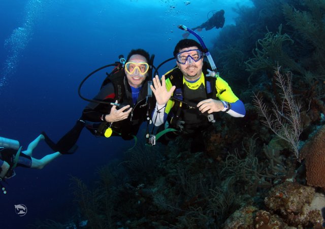 Curacao dive centres, Curacao