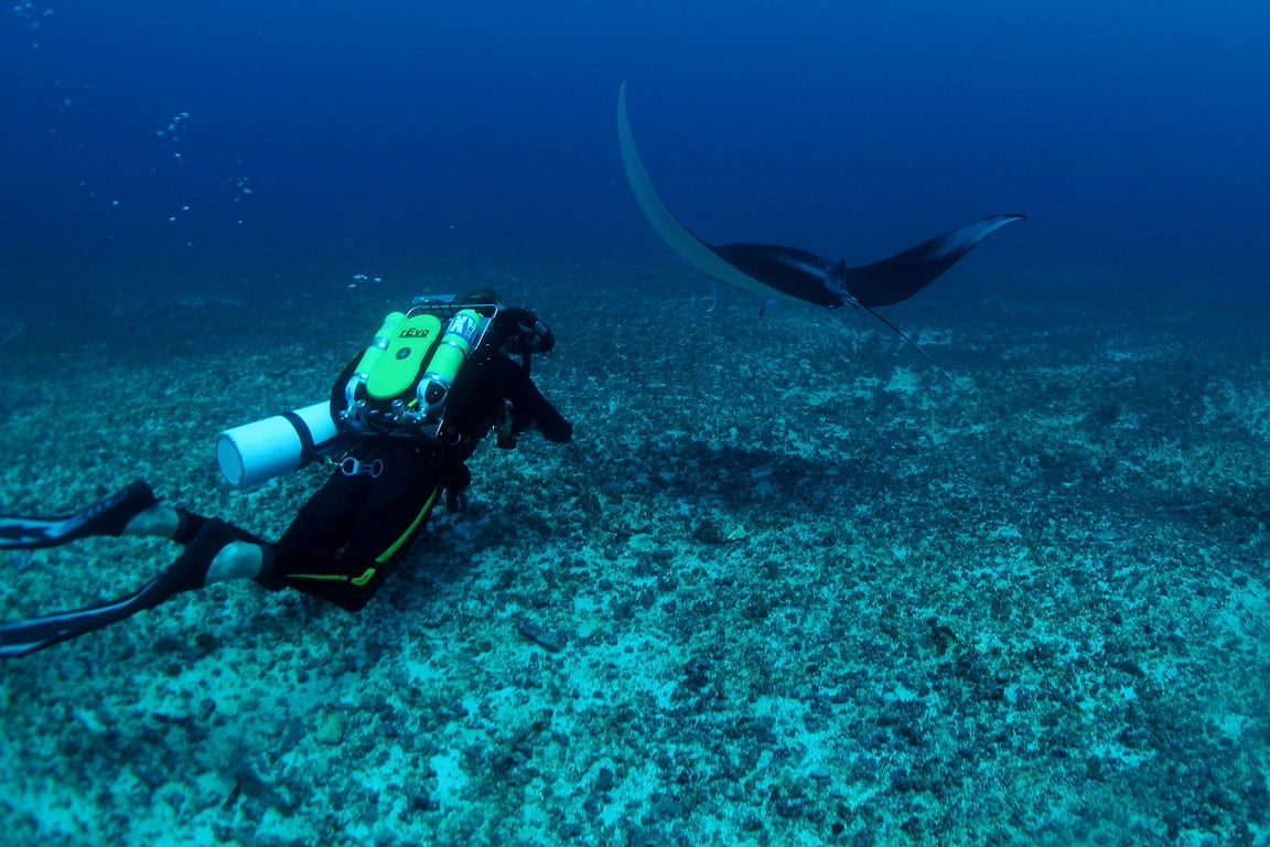 Komodo National Park dive centres, Komodo National Park