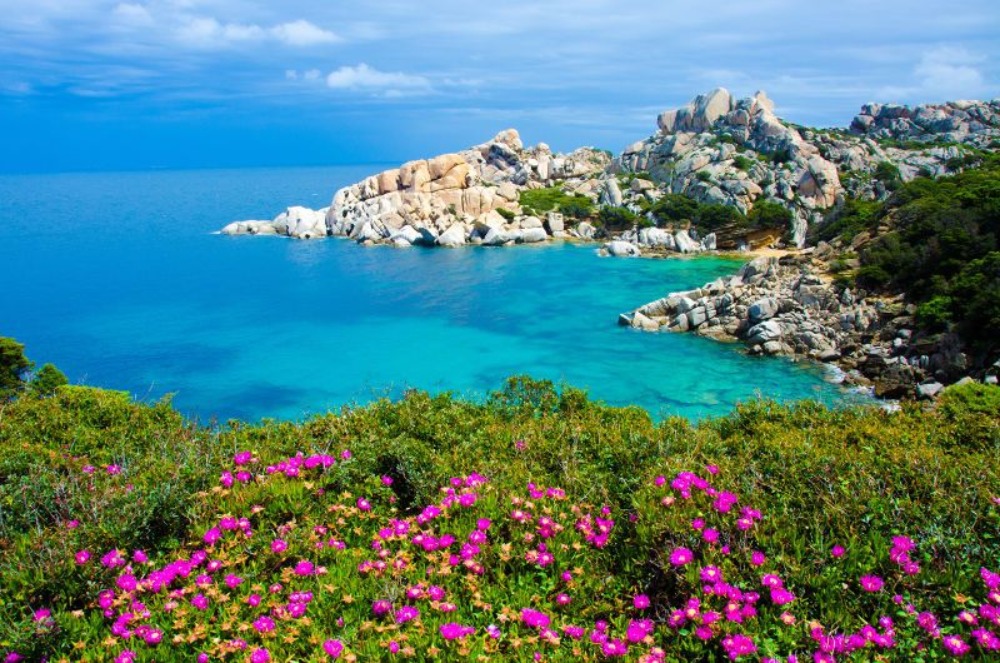 Northern Sardinia dive holidays