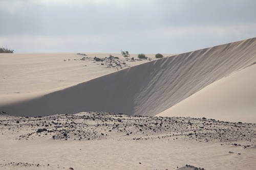 Fuerteventura dive holidays
