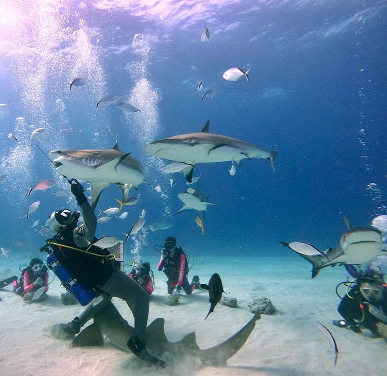 Nassau dive holidays