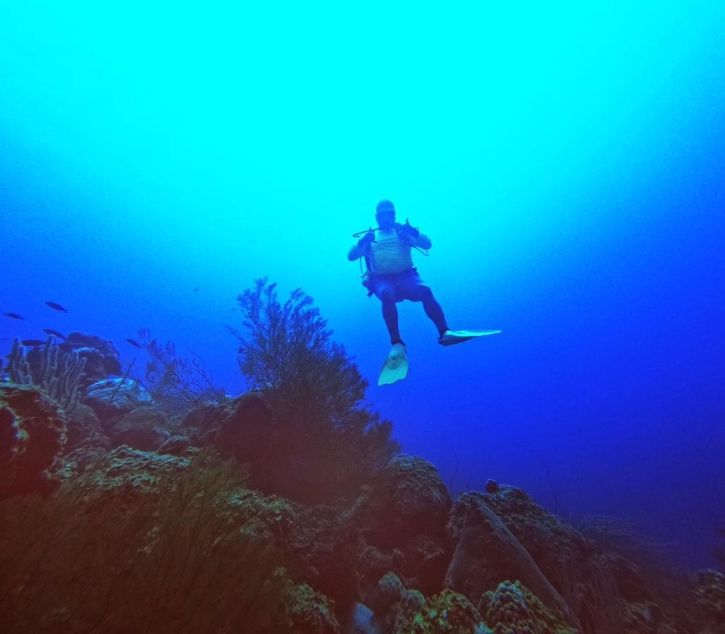 Aruba dive holidays