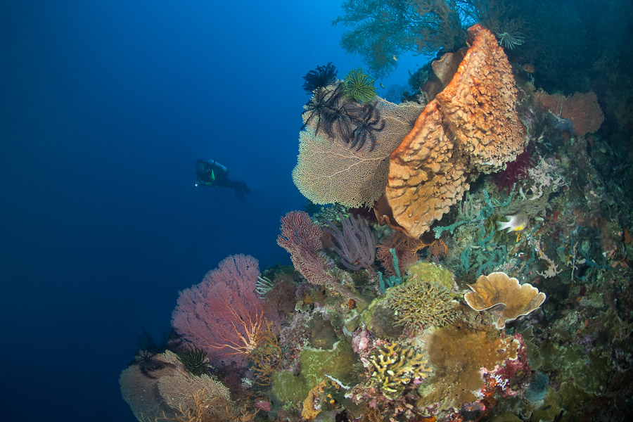 Alam Anda Dive Centre, Bali
