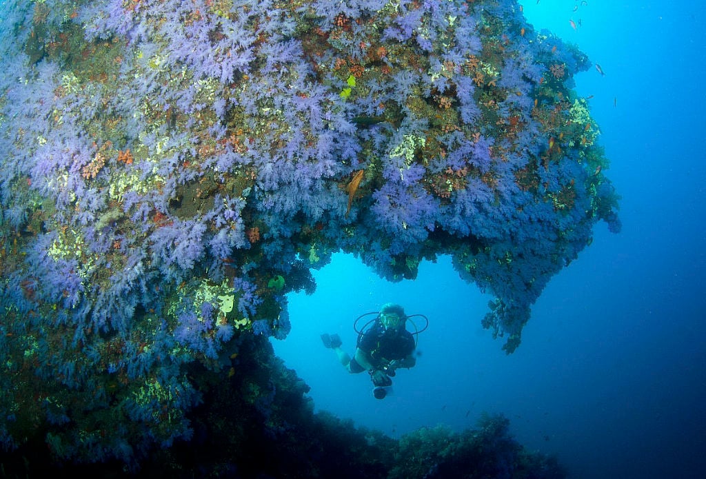 Orion, Maldives - liveaboard diving holidays