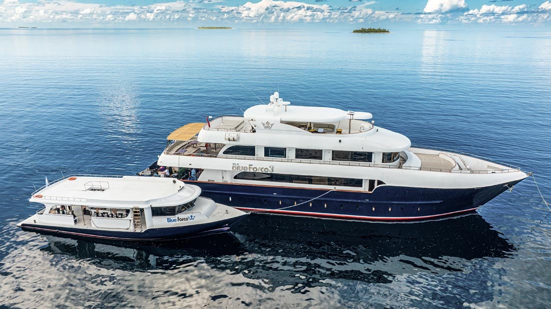Blue Force 3, Maldives - liveaboard diving holidays