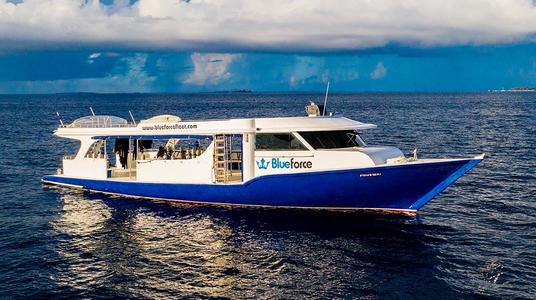 Blue Force 3, Maldives - liveaboard diving holidays