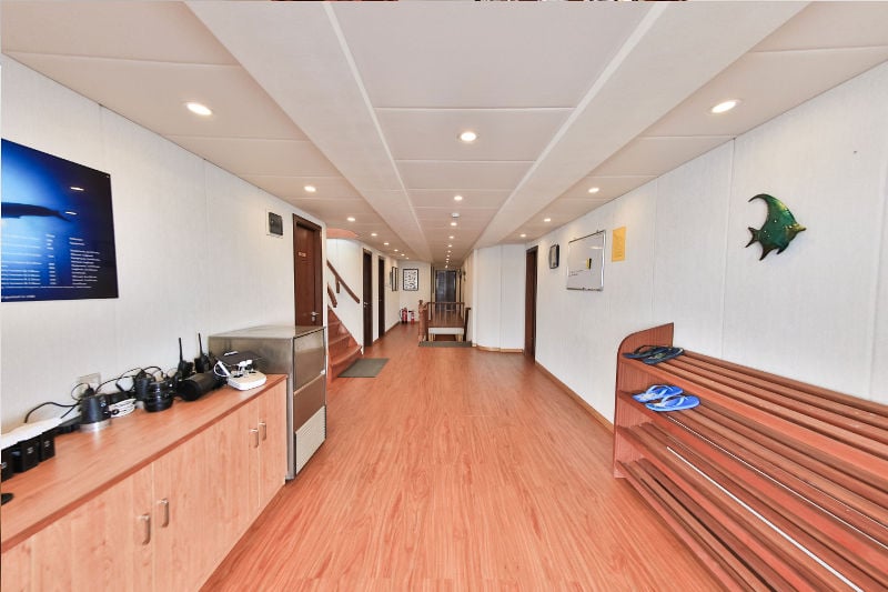 Carpe Novo, Maldives - liveaboard diving holidays