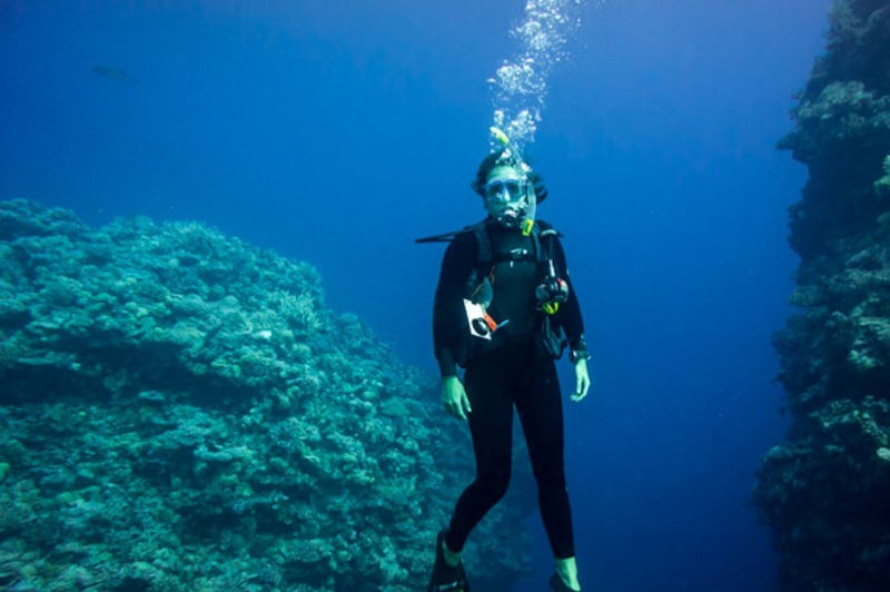 Palau Dive Centre, Northern Sardinia