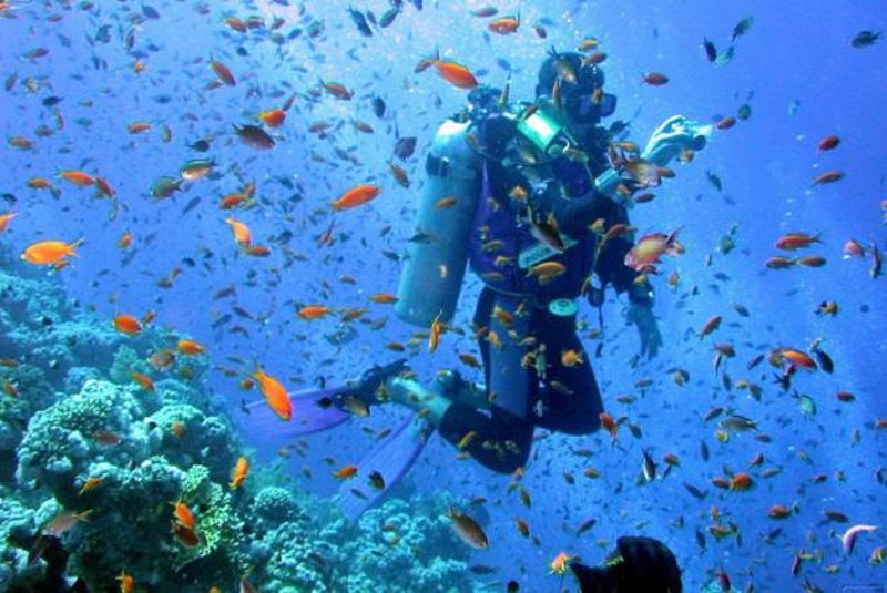 Palau Dive Centre, Northern Sardinia