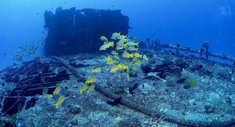Mauritius Dive Centre - Northern Tip, Mauritius Island