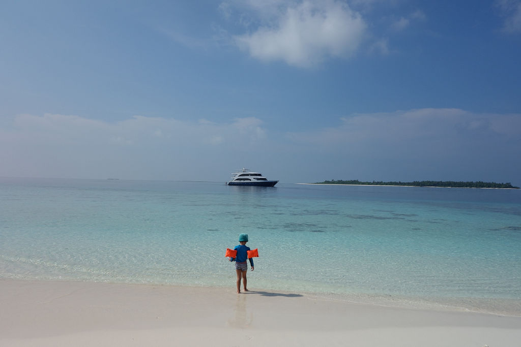 Voyager (atoll Cruiser), Maldives - liveaboard diving holidays