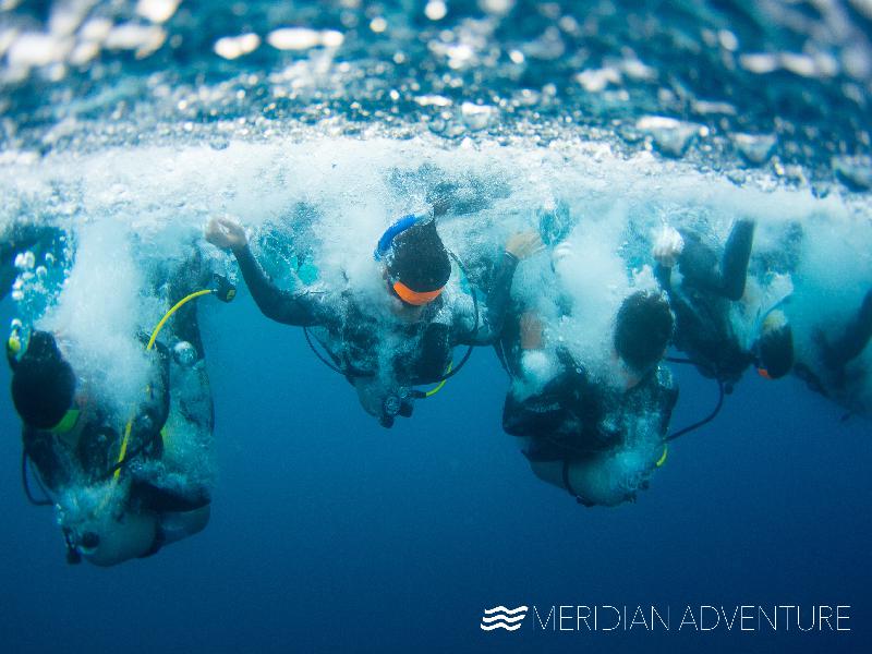 Meridian Adventure Club, Papua and Raja Ampat — Whalesharks and Mantas