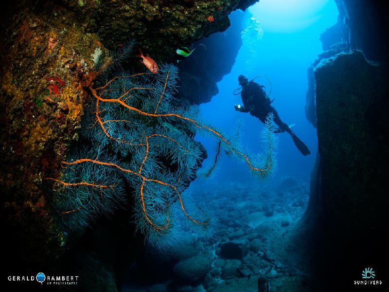 Flic and Flac Dive Centre, Mauritius Island
