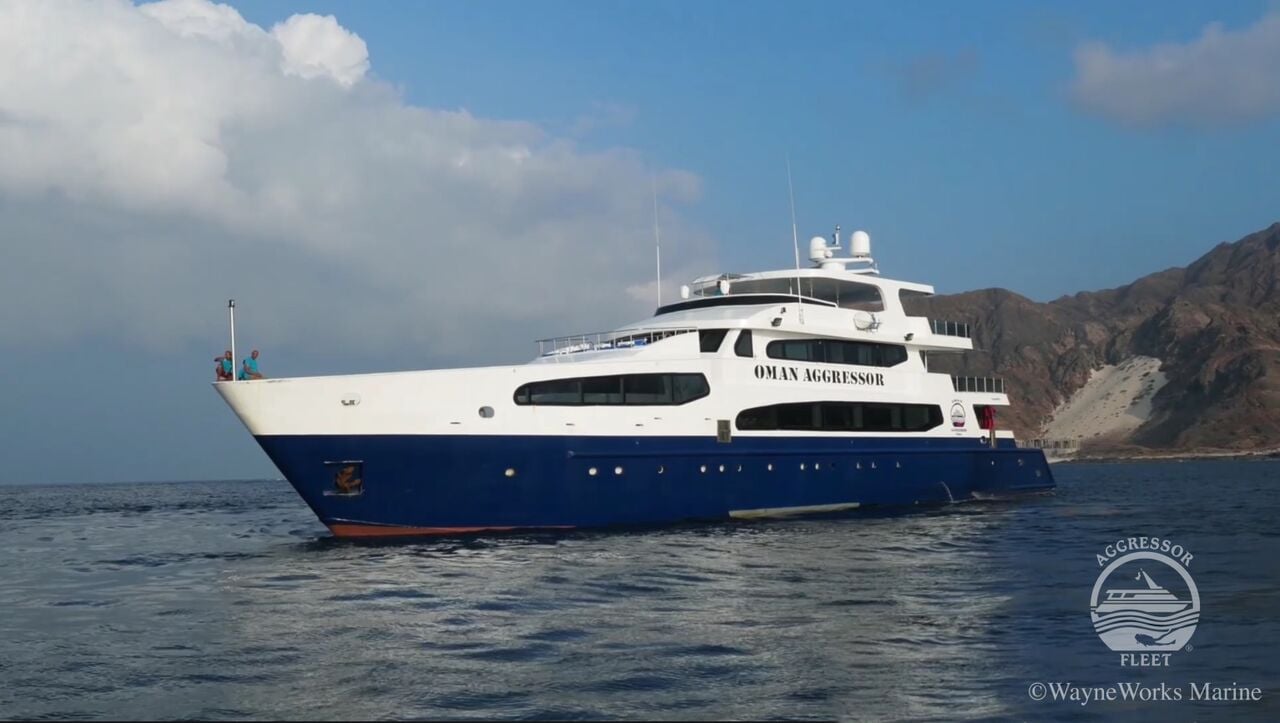 Oman Aggressor, Oman - liveaboard diving holidays