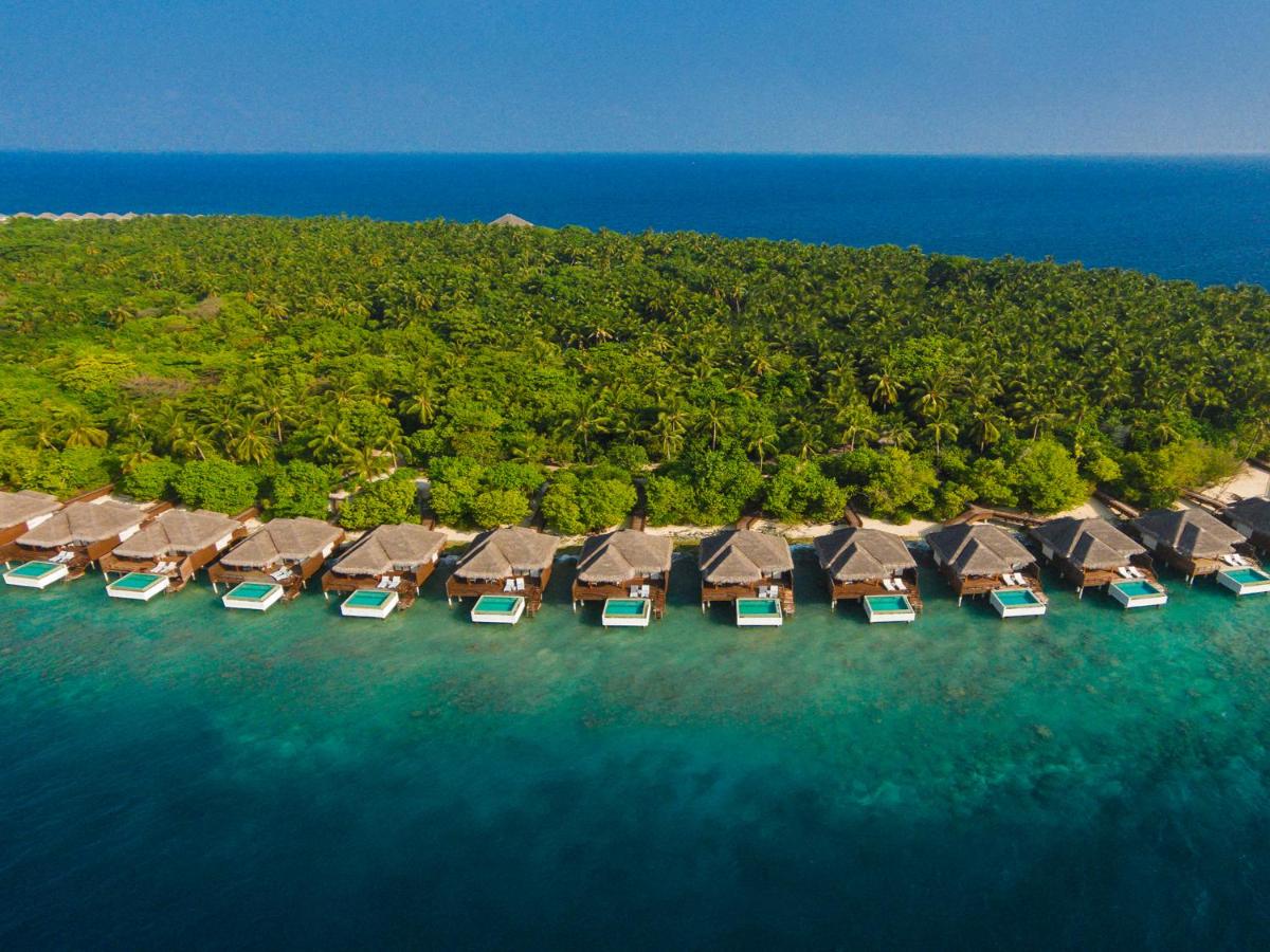 Dusit Thani Maldives, Maldives - dive holidays