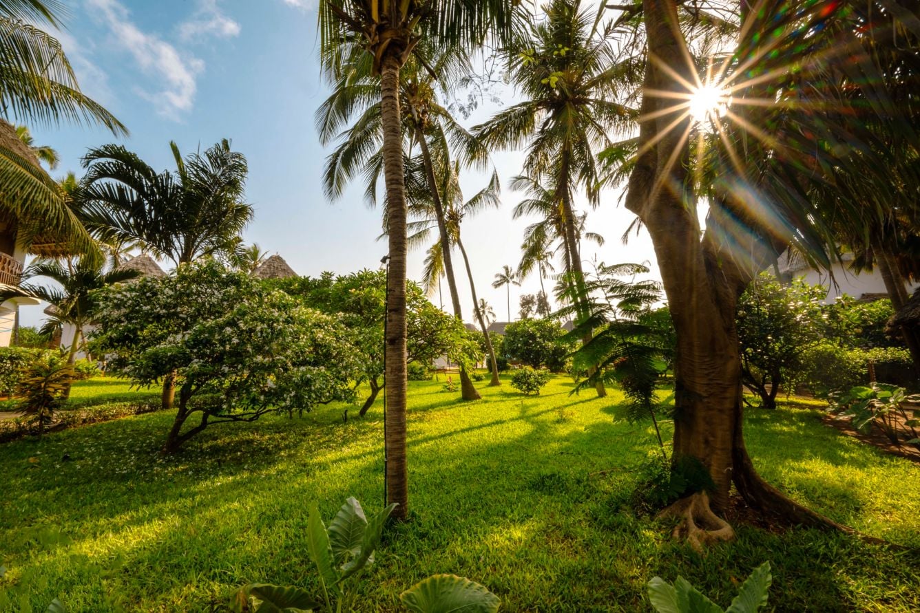 Nungwi Resort, Zanzibar - dive holidays