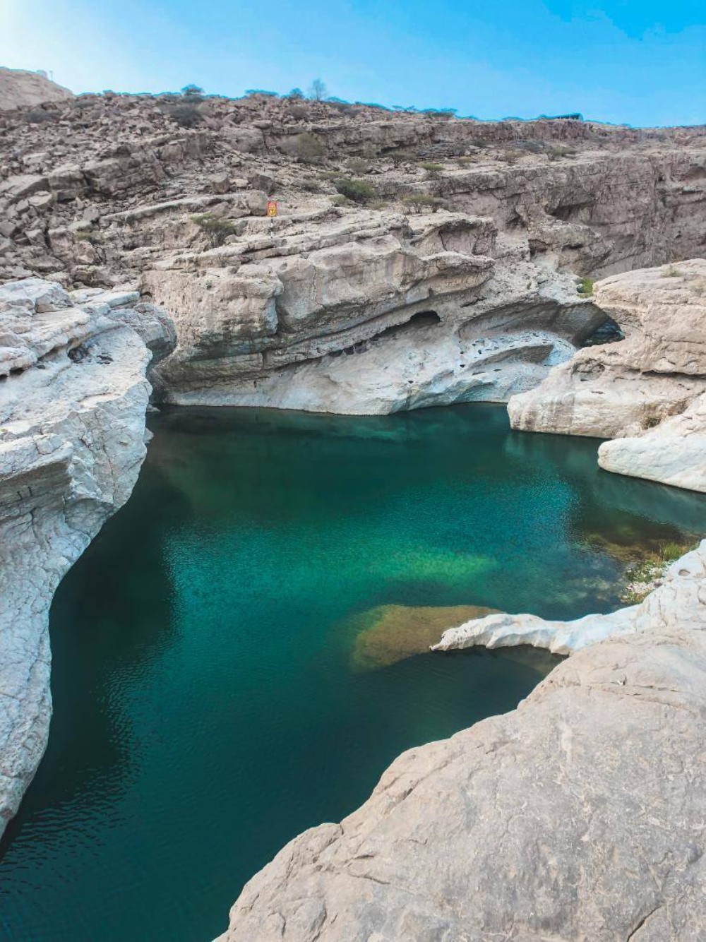 Muscat Dive Centre, Muscat Region