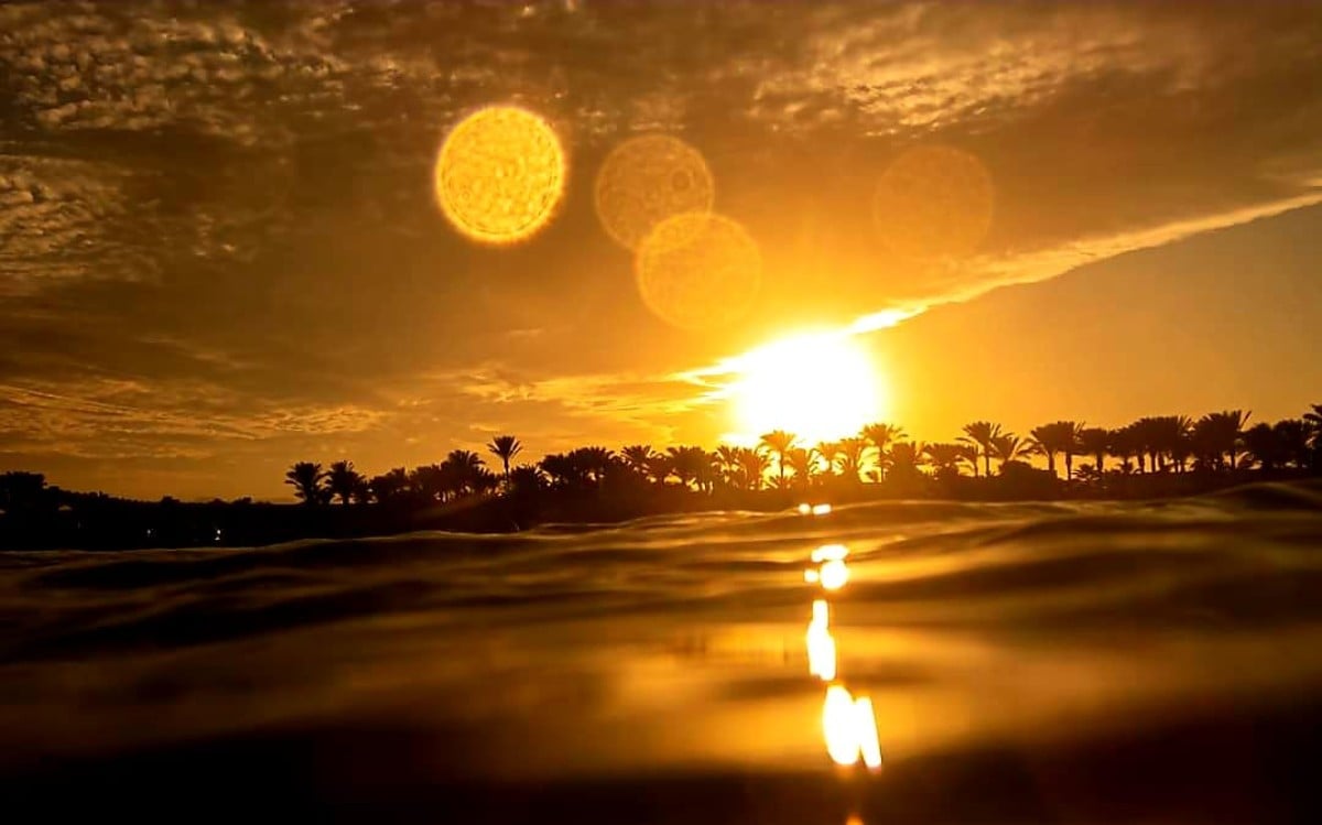 Marsa Alam dive holidays