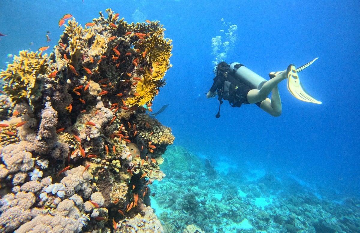 Marsa Alam dive holidays