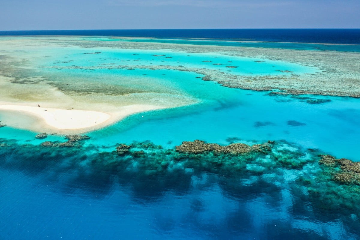 Marsa Alam dive holidays