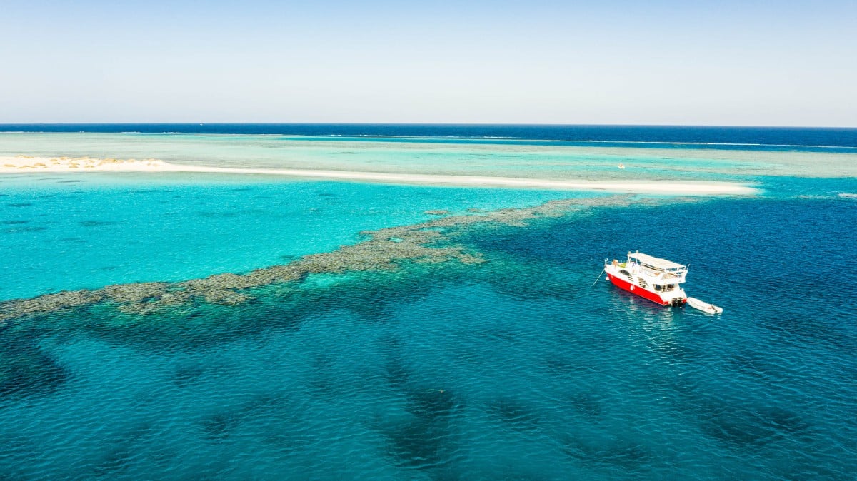 Marsa Alam dive holidays