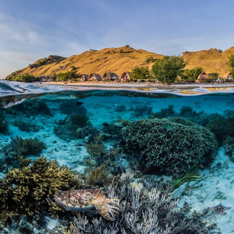 Komodo Resort, Komodo National Park - dive holidays