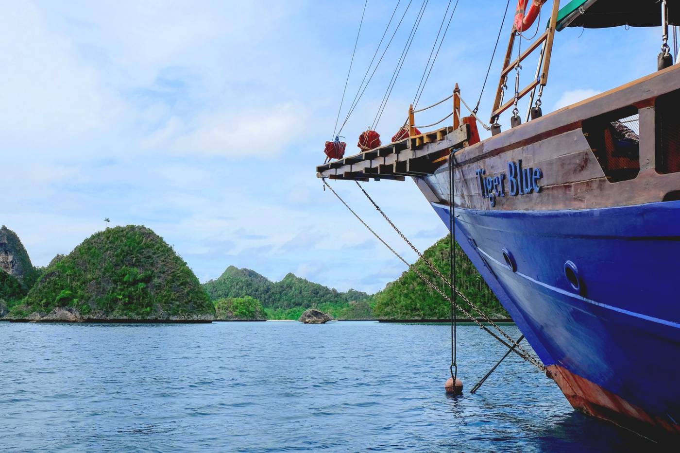 Tiger Blue Liveaboard, Bali - dive holidays