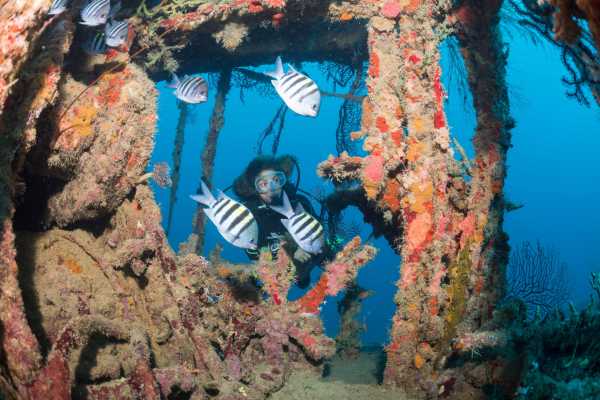 Grenada dive centres, Grenada