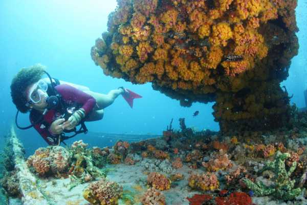 Grenada dive centres, Grenada