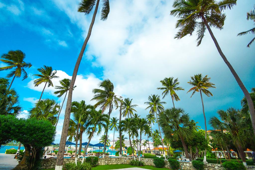 British Colonial Hilton, Nassau - dive holidays