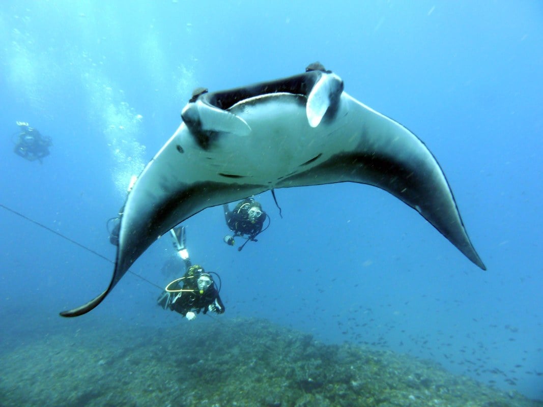 Sal PADI dive school, Sal