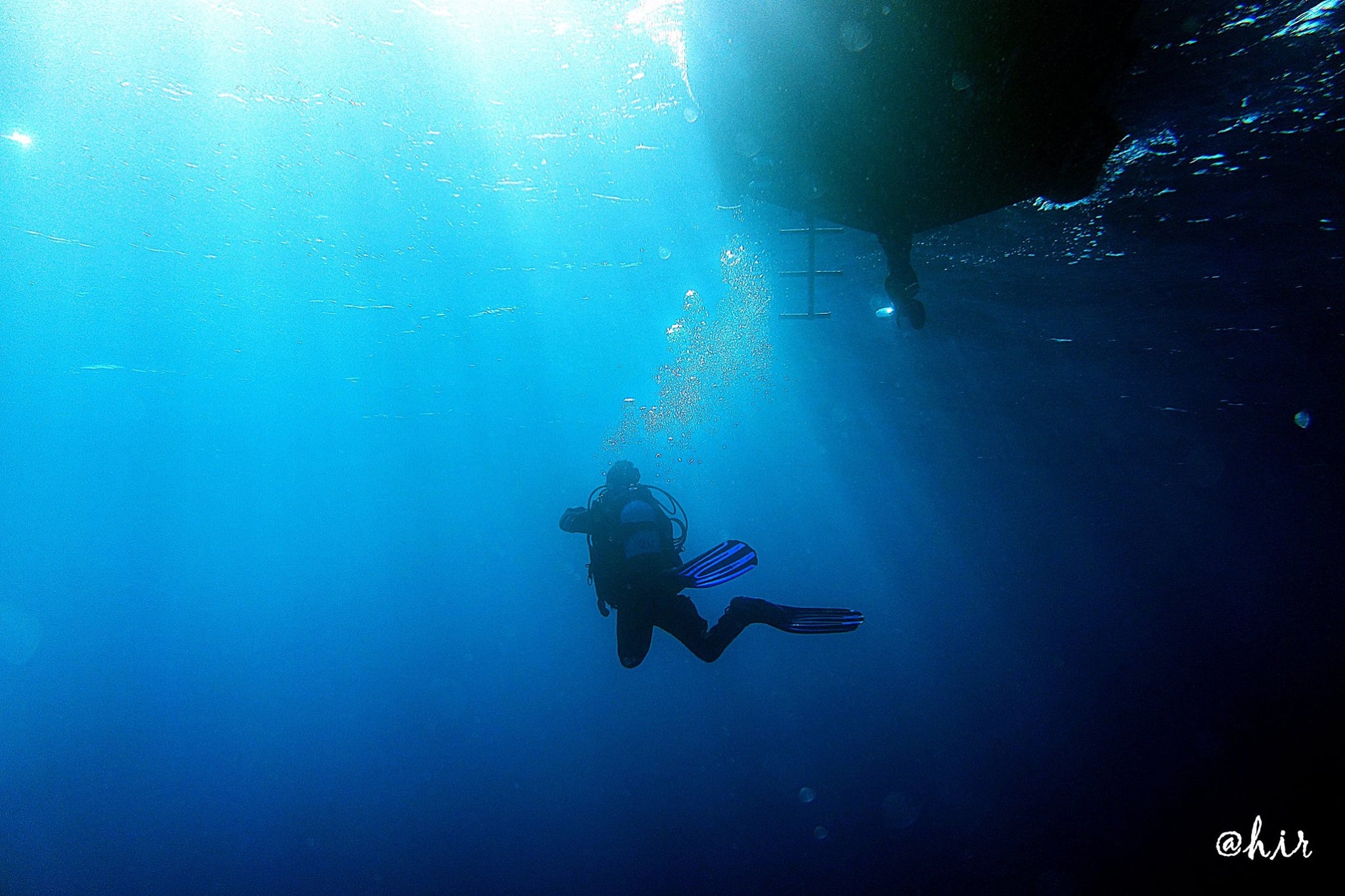 Dive Centre (Ponta Delgada), The Azores (sao Miguel)