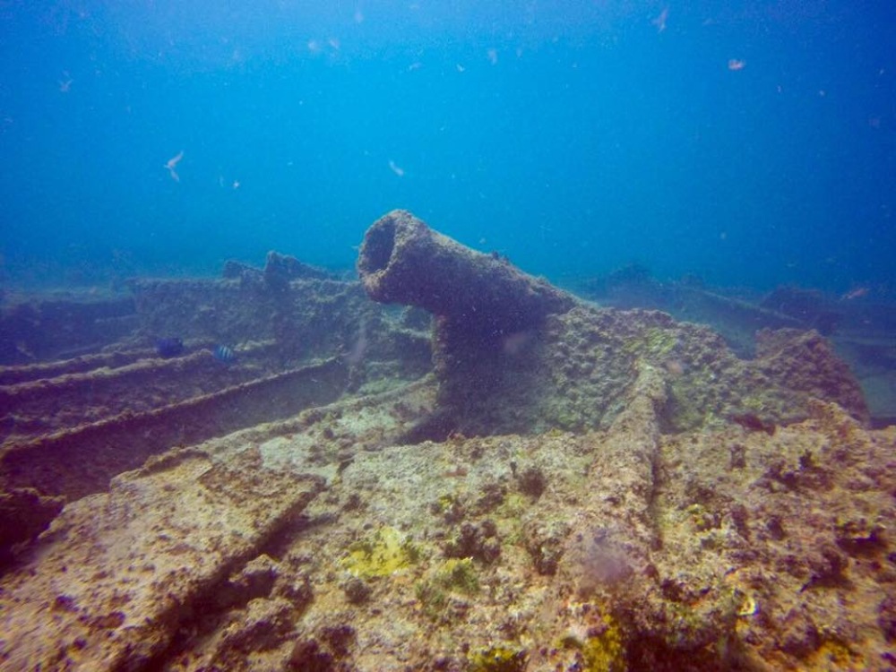 Sal dive holidays