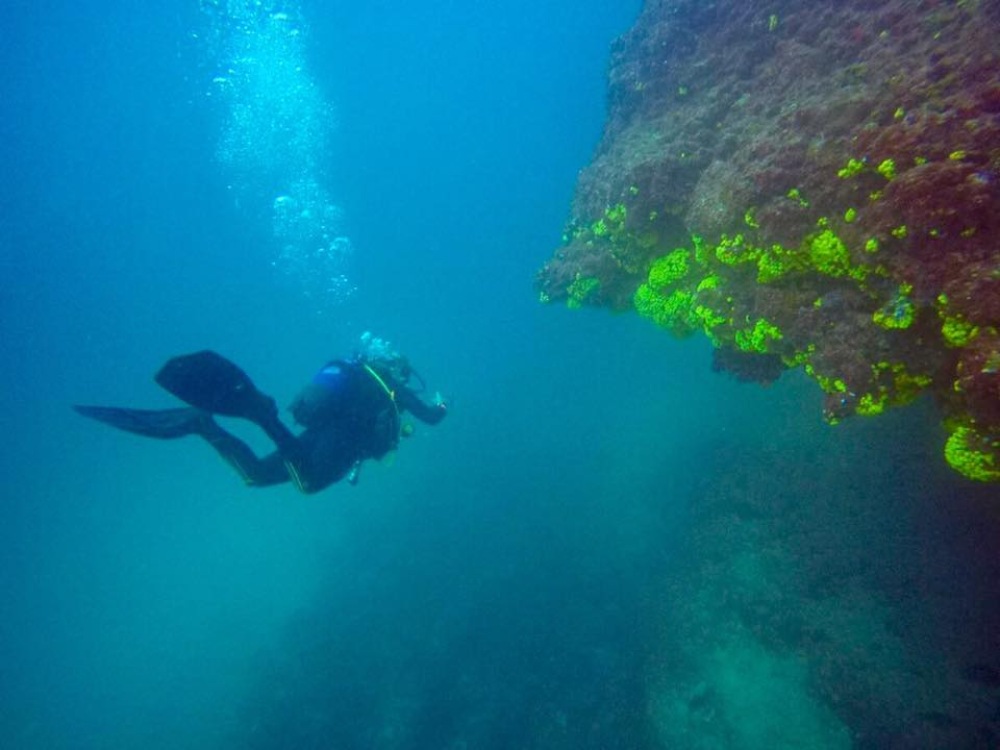 Sal dive holidays