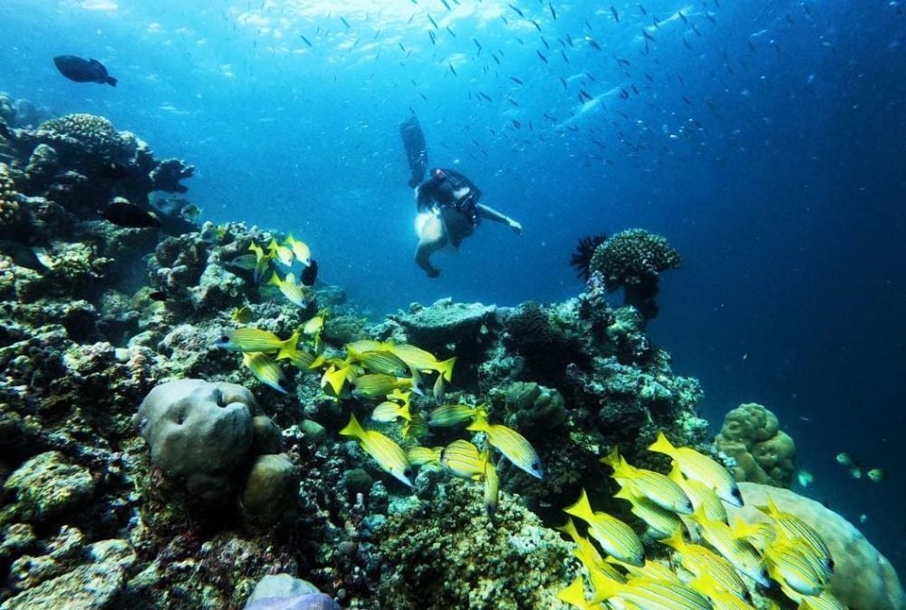 Reethi Faru Dive Centre, Maldives