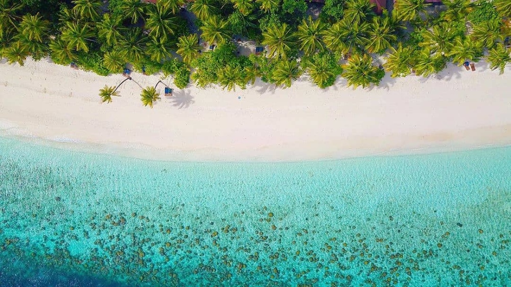 Filitheyo Island Resort, Maldives - dive holidays