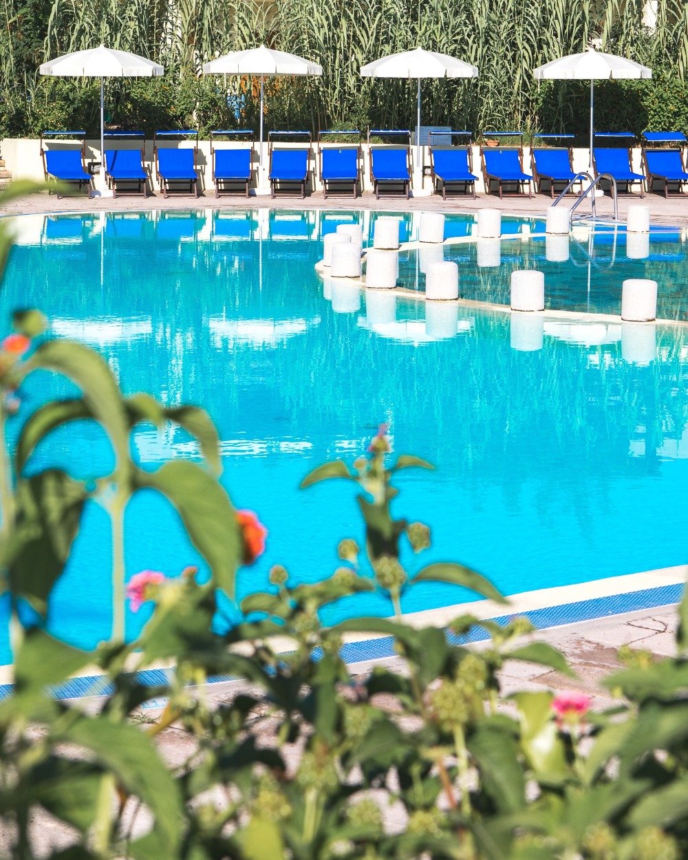 Le Dune Resort And Spa, Northern Sardinia - dive holidays