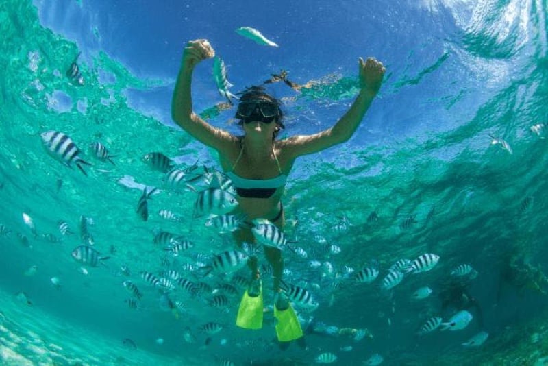 PADI Scuba Diving School - Westin Resort, Mauritius Island