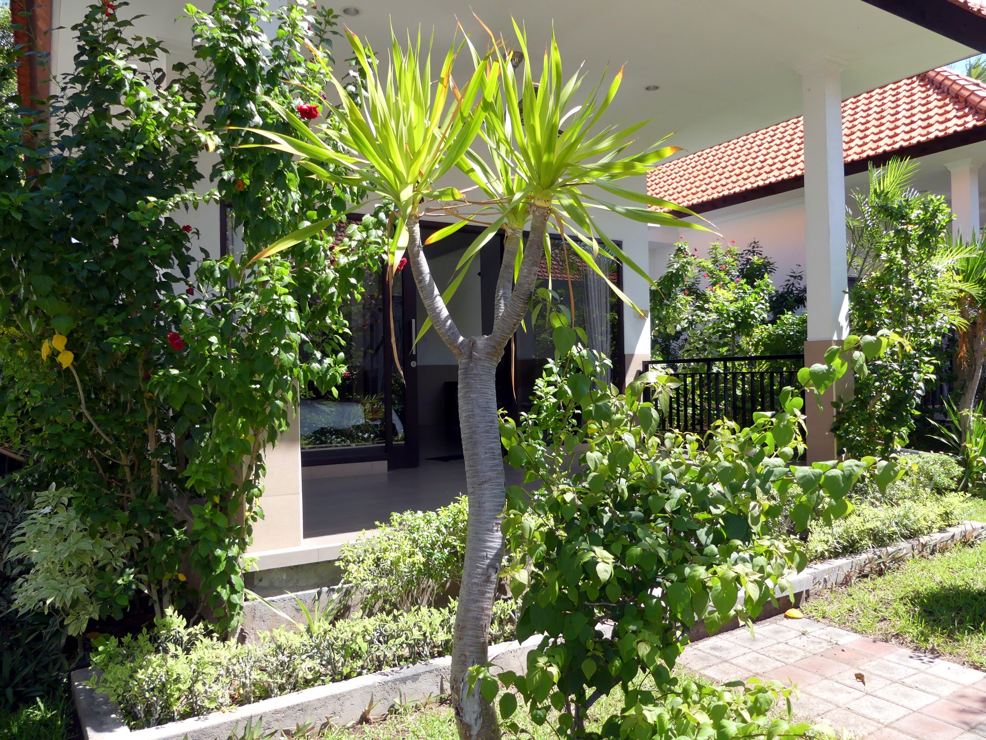 Tulamben Dive Resort, Bali - dive holidays