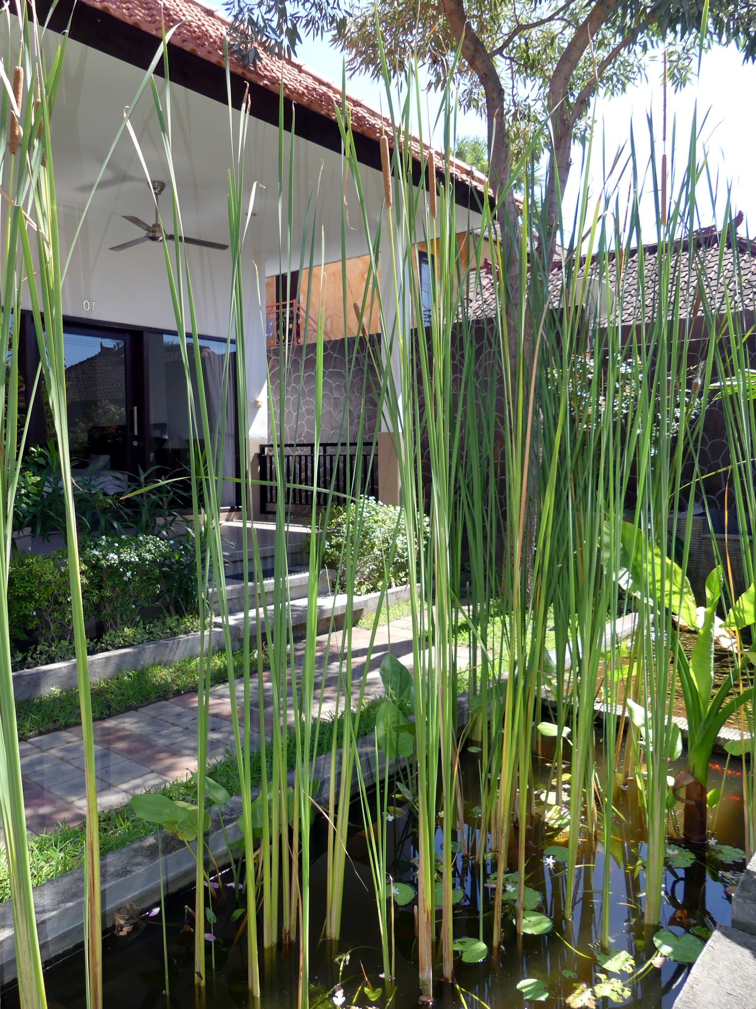 Tulamben Dive Resort, Bali - dive holidays