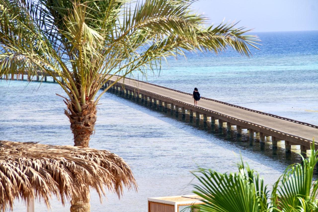 The Breakers Kitesurf And Dive Lodge, Soma Bay - dive holidays