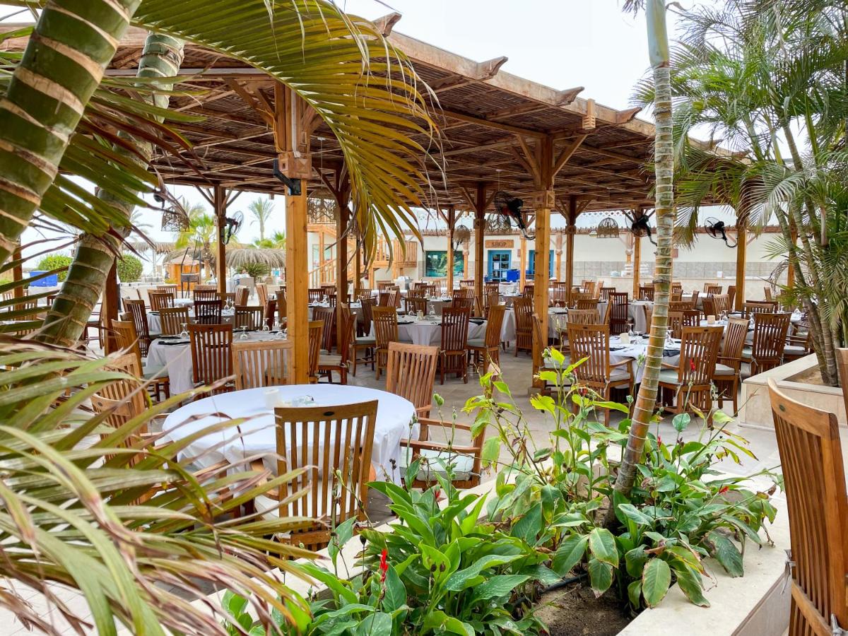 The Breakers Kitesurf And Dive Lodge, Soma Bay - dive holidays