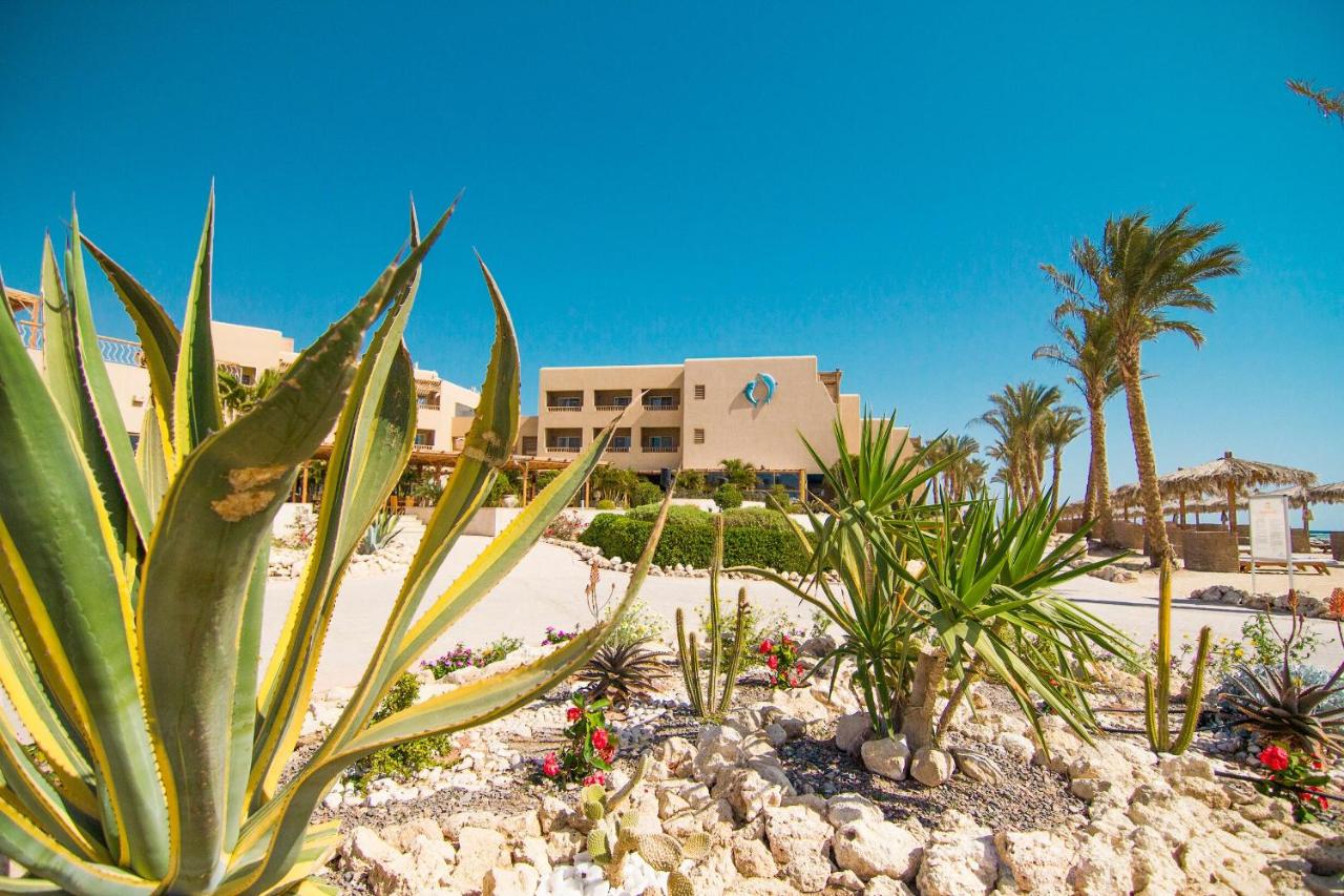 The Breakers Kitesurf And Dive Lodge, Soma Bay - dive holidays