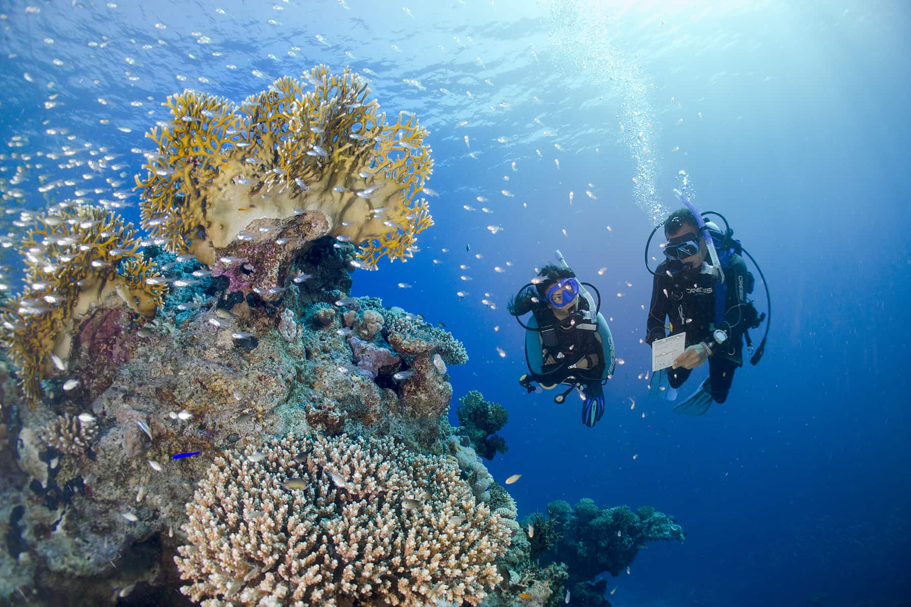 Scuba Diving Centre Four Seasons Sharm, Sharm El Sheikh
