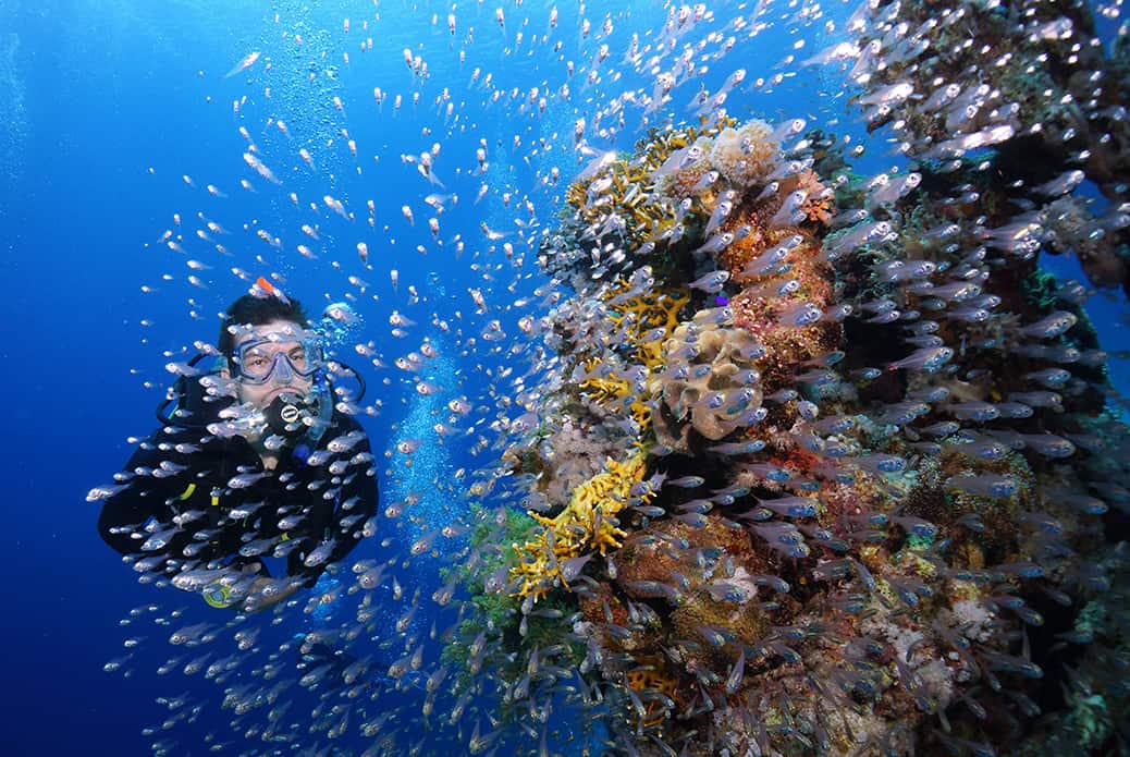 Scuba Diving Centre Four Seasons Sharm, Sharm El Sheikh