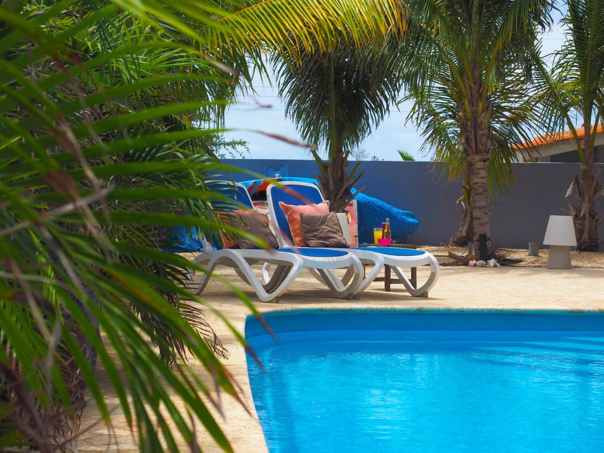 Oasis Guesthouse Bonaire, Bonaire - dive holidays