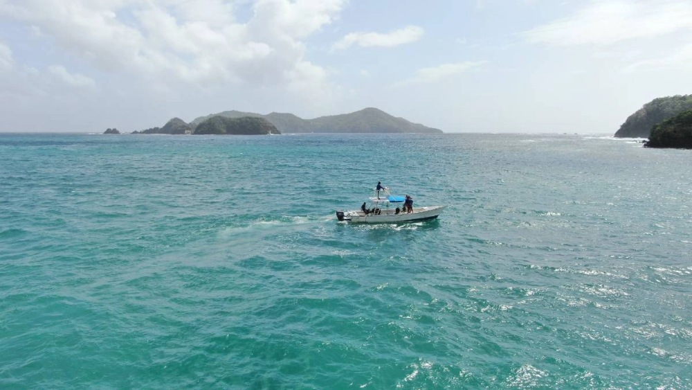 Tobago dive centres, Tobago