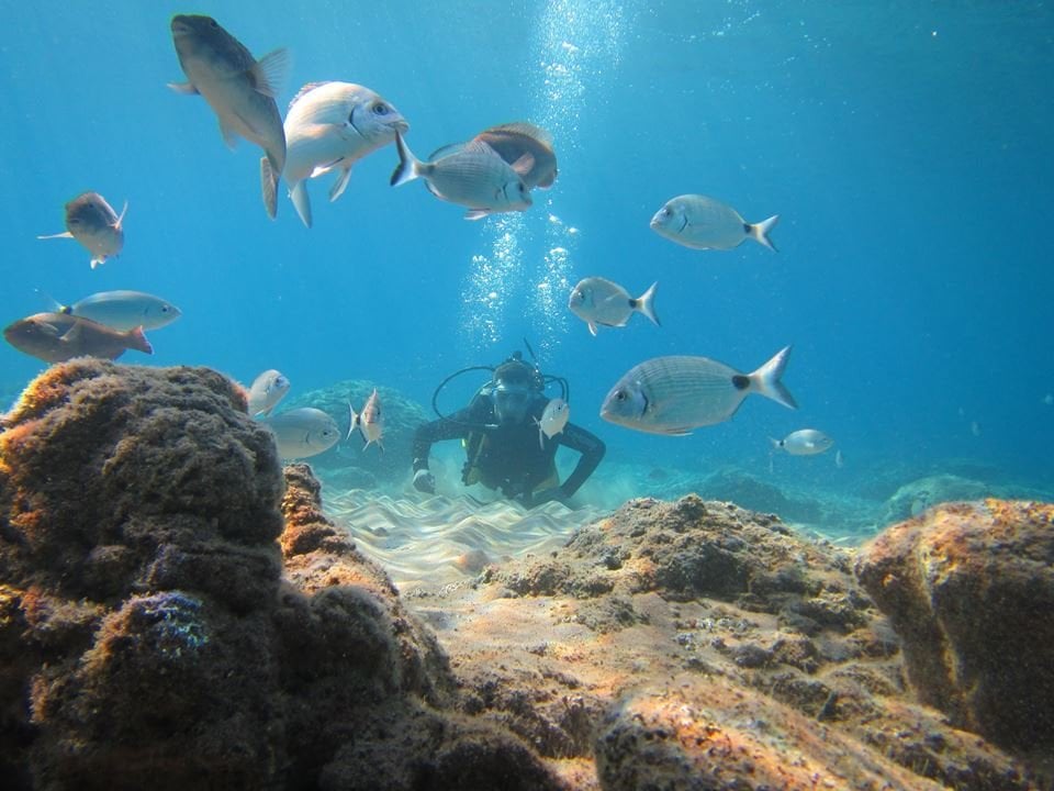 South Rhodes Scuba Diving School, Rhodes South