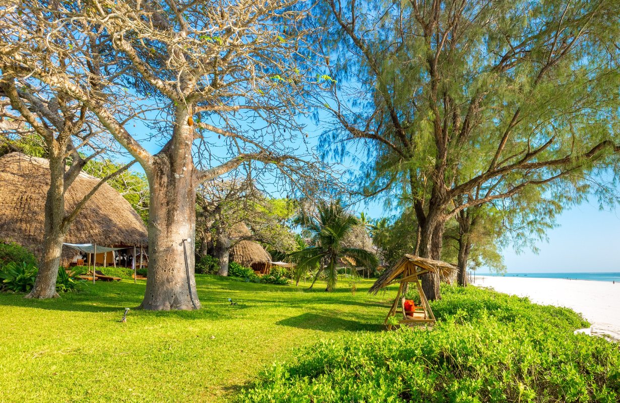 The Sands At Nomad, Diani - dive holidays