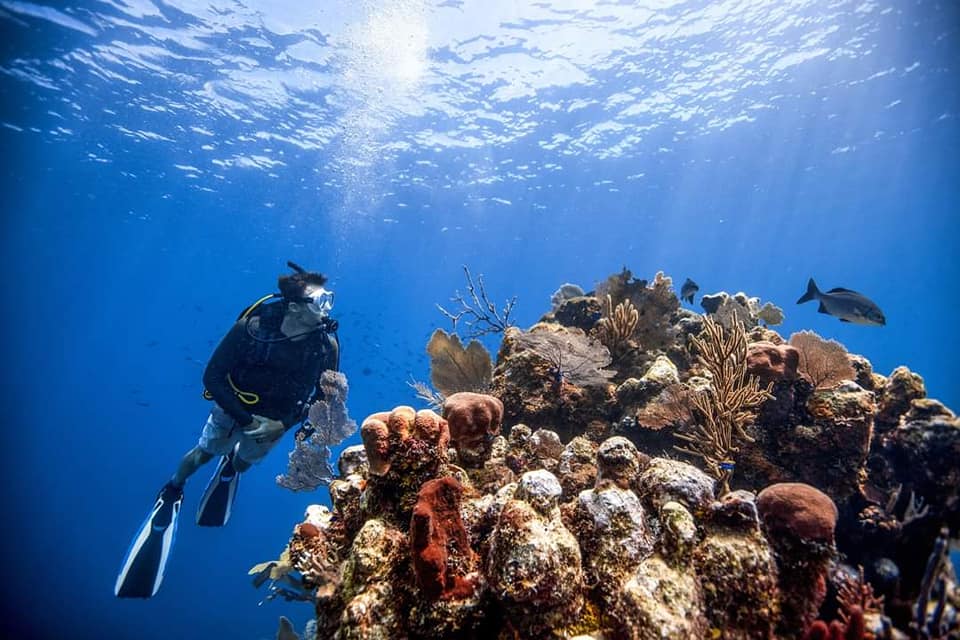 Abu Soma PADI Dive Centre, Soma Bay